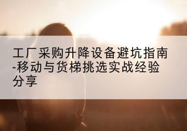 方城移动式升降机怎么选-工厂采购升降设备避坑指南-移动与货梯挑选实战经验分享