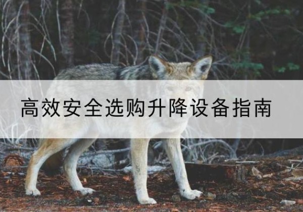 方城升降货梯厂家推荐-*安全选购升降设备指南