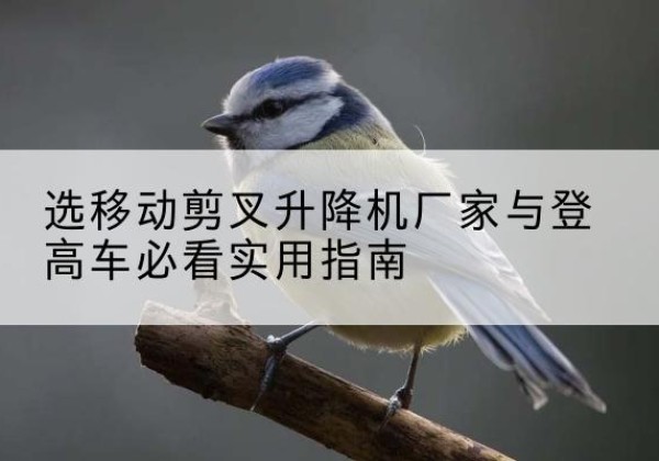 方城电动升降机厂家-选移动剪叉升降机厂家与登高车必看实用指南