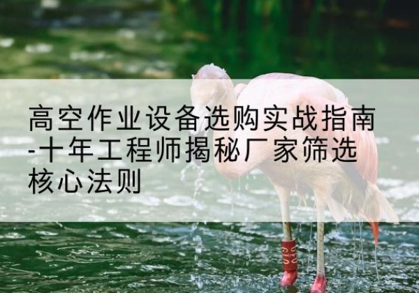 方城剪叉式升降机厂家-高空作业设备选购实战指南-十年工程师揭秘厂家筛选核心法则